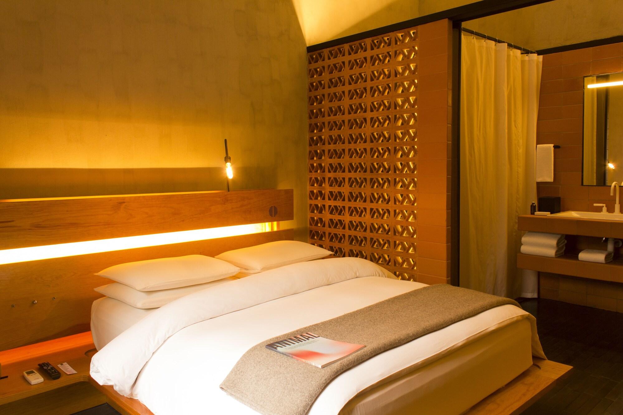 Downtown Mexico Hotel Екстериор снимка